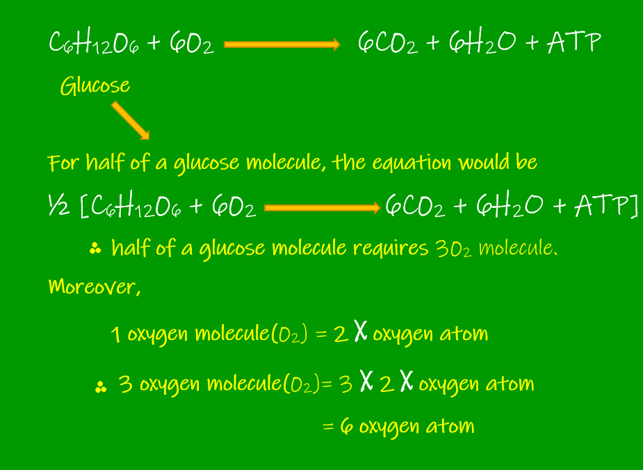 How many Oxygen atoms are required for the complete oxidation of half of a Glucose molecule?