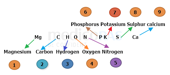 NCERT Macronutrients Mnemonic